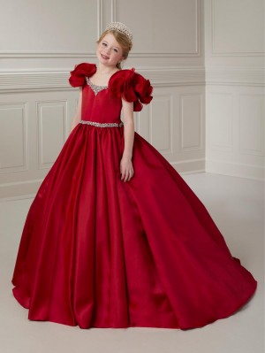 Tiffany Princess 13730 Girls Vintage Ruffle Sleeve Ball Gown