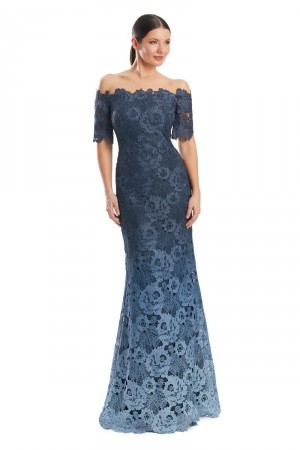 Alexander by Daymor 1976 Ombre Lace Off Shoulder Gown