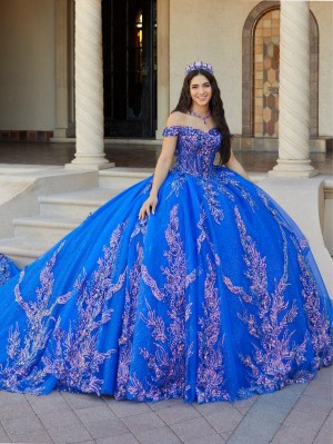 House of Wu 26063 Sequin Lace Quinceanera Dress