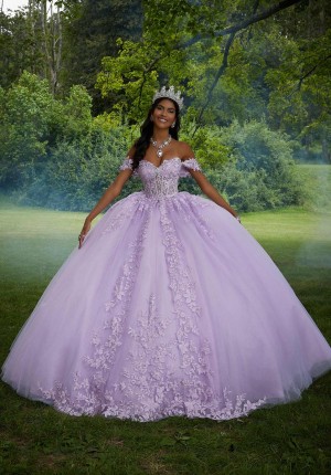 Vizcaya 89454 Gorgeous Crystal Lace Quinceanera Dress