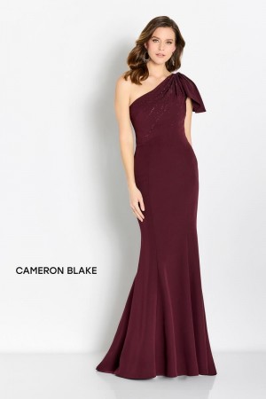 Cameron Blake CB752 One Shoulder Mother of Bride Gown