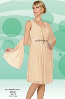 Misty Lane by BenMarc Cream Knee Length Dress and Shawl 13530 image