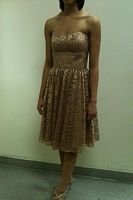 Size 10 Niki Short Gold Glitter Prom Dress 3474 for Alfred Angelo image
