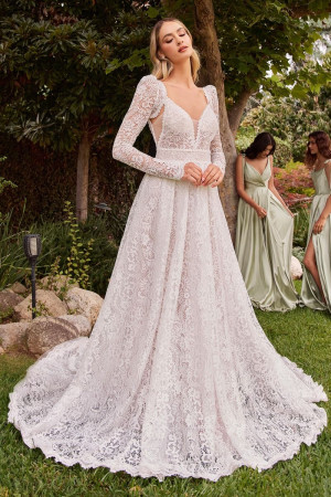 Ladivine CD862W Wedding Dress