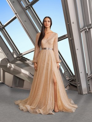 Alexander by Daymor 1182 Sheer Long Sleeve Mothers Gown