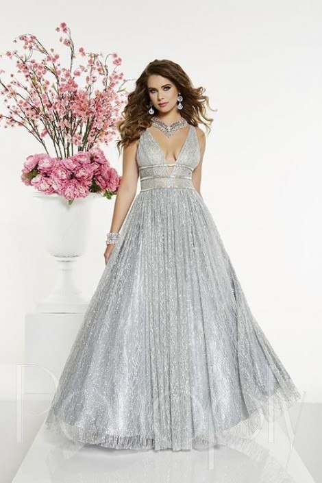 Prom Dress Covers