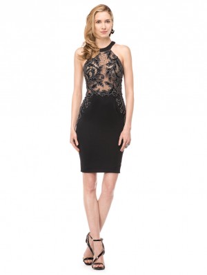 Colors Dress 1534 Sheer Beaded Cocktail Dress