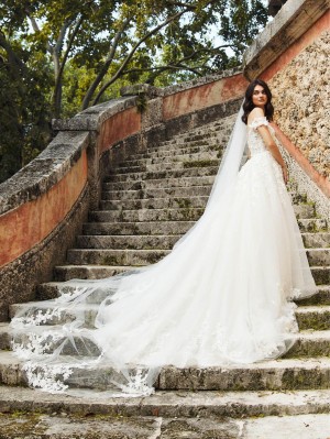 Christina Wu Brides 15864 Fairytale Wedding Gown with Veil
