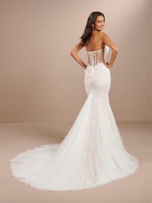 Christina Wu Brides 15878 Beautiful Sheer Back Bridal Gown