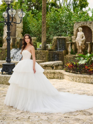 Christina Wu Brides 15880 Stunning 2 Piece Bridal Gown