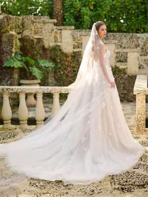 Christina Wu Brides 15885 Lace 3D Bridal Gown with Veil