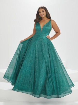 Tiffany Plus by Christina Wu 16041 A-Line Prom Dress