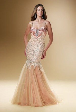 Rina Di Montella 1613 Tulle Mermaid Mother of the Bride Dress