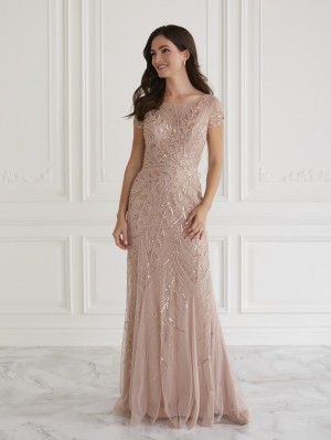 Christina Wu Elegance 17067 Delicate Mothers Gown