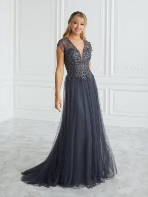 Christina Wu Elegance 17091 Elegant Mothers Gown