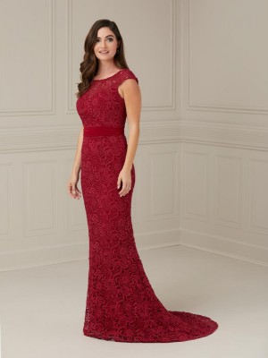 Christina Wu Elegance 17115 Lace Mother of Bride Gown