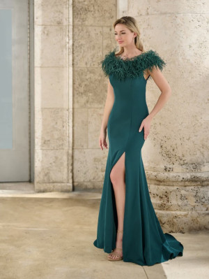 Christina Wu Elegance 17165 Feather Neck Fitted Gown