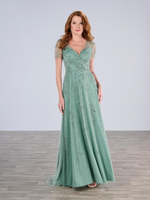 Christina Wu Elegance 17198 Sheer Short Sleeve Beaded Gown