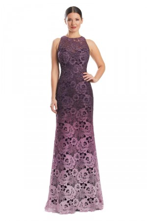 Alexander by Daymor 1975 Ombre Lace Mothers Gown