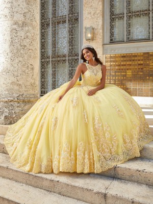 House of Wu 26032 Sequin Lace Quinceanera Dress
