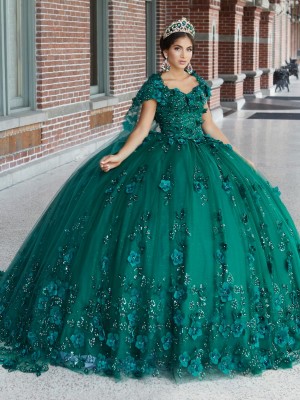 House of Wu 26046 Floral 3D Butterfly Quince Dress
