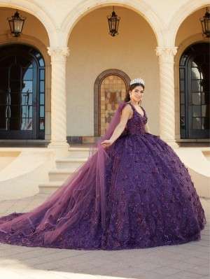 House of Wu 26062 Butterfly Lace Quinceanera Dress