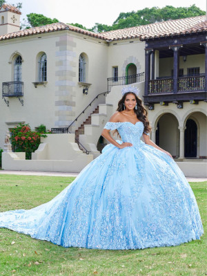 LizLuo Quince by House of Wu 26072 Floral Lace Gown
