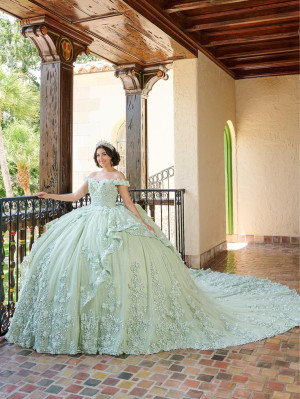 LizLuo Quince by House of Wu 26080 Ornate Gown
