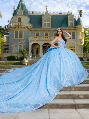 LizLuo Quince by House of Wu 26086 Princess Gown