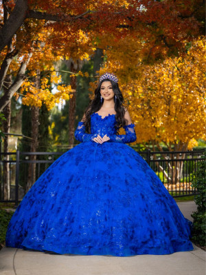 LizLuo Quince by House of Wu 26092 Fantastic Gown