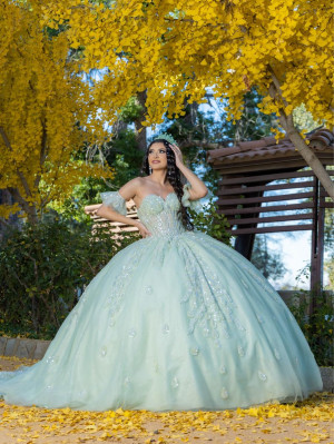 LizLuo Quince by House of Wu 26096 Elegant Gown