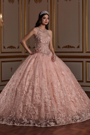 House of Wu 26935 Gorgeous Lace Quinceanera Dress