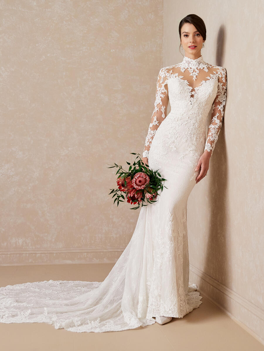 French Novelty: Adrianna Papell Platinum 31177 Sheer Long Sleeve