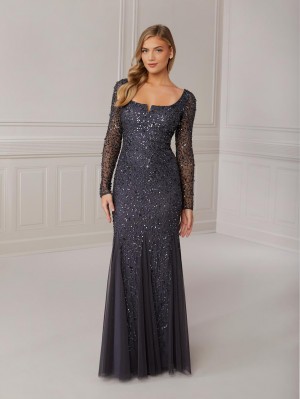 Adrianna Papell Platinum 40420 Sheer Long Sleeve Gown