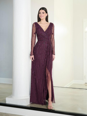 Adrianna Papell Platinum 40454 Sheer Long Sleeve Gown
