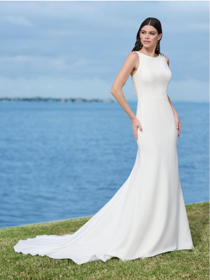 Adrianna Papell 45003 Lace Framed Open Back Gown