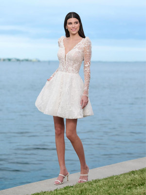 Adrianna Papell 45009 Sheer Long Sleeve Lace Short Dress
