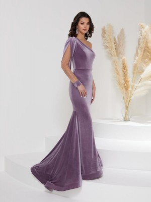 Christina Wu Gala 48001V Velvet One Sheer Sleeve Gown