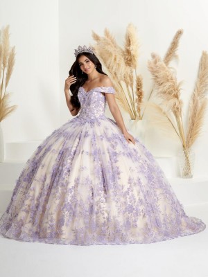 Wu Fiesta 56445 Floral Glitter Quinceanera Dress