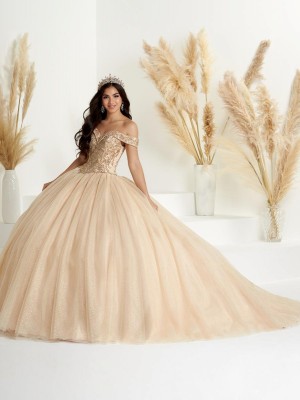 Wu Fiesta 56446 Sequin Quinceanera Dress