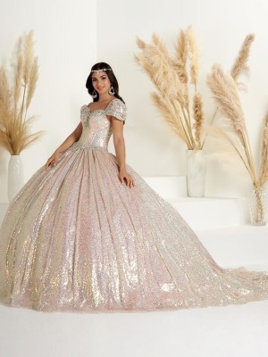 Wu Fiesta 56450 Sequin Quinceanera Dress