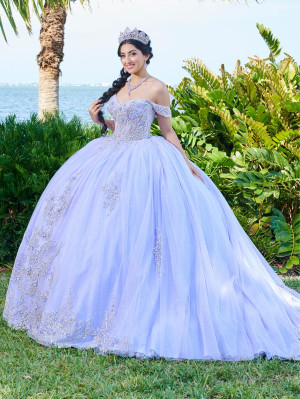 LizLuo Fiesta 56493 Beautiful Sequin Lace Quince Gown