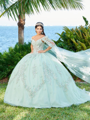 LizLuo Fiesta 56498 Romantic Lace 3D Quinceanera Gown