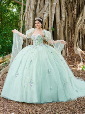 LizLuo Fiesta 56500 Quince Gown with Princess Sleeves