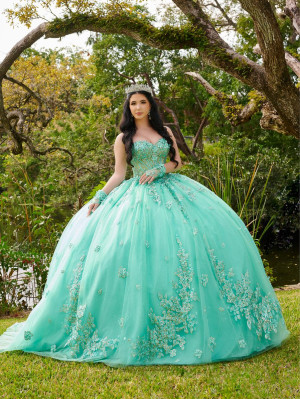 LizLuo Fiesta 56514 Garden Inspired Quinceanera Gown