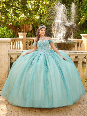 LizLuo Fiesta 56517 Floral 3D Quinceanera Gown