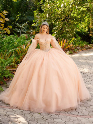 LizLuo Fiesta 56518 Quinceanera Gown with Streamers