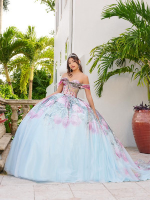LizLuo Fiesta 56520 18th Century Floral Quince Gown