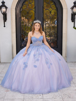 LizLuo Fiesta 56521 Beautiful Fairytale Quinceanera Gown
