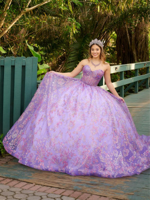 LizLuo Fiesta 56523 Floral Glitter Tulle Quinceanera Gown